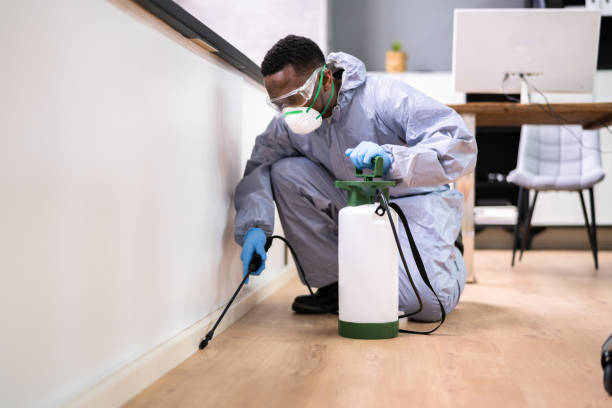 Best Fumigation Services  in Spanay, WA